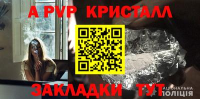 крисы Донской