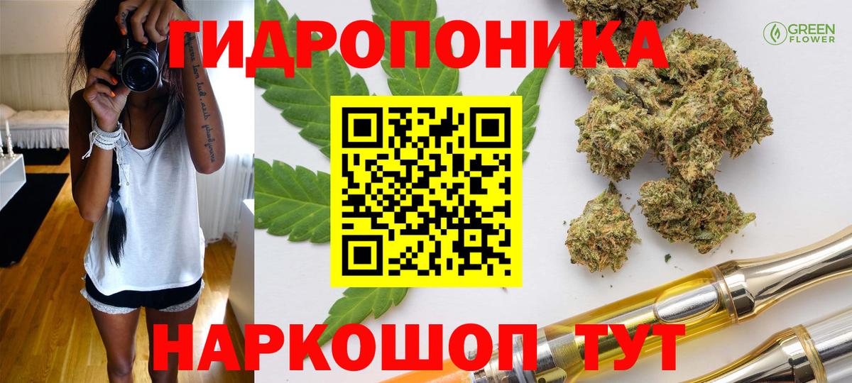 Каннабис ГИДРОПОН  Вход с VPN  Канабис конопля  Канабис марихуана  Малгобек  Марихуана White Widow 